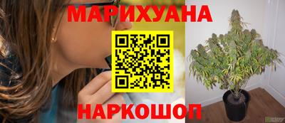 твердый Гай