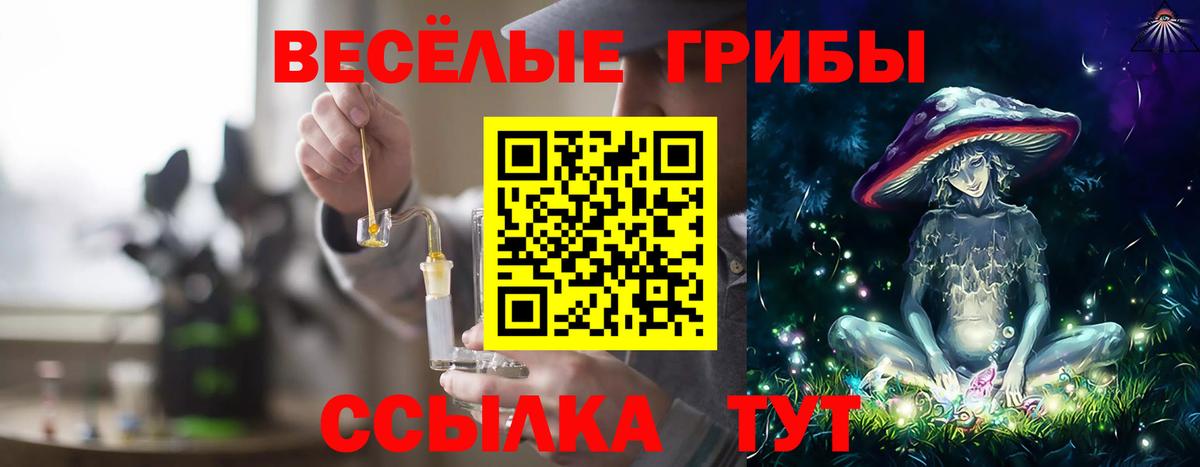 Псилоцибиновые грибы прущие грибы  Галлюциногенные грибы Psilocybine cubensis  Лесной  Вход с VPN 