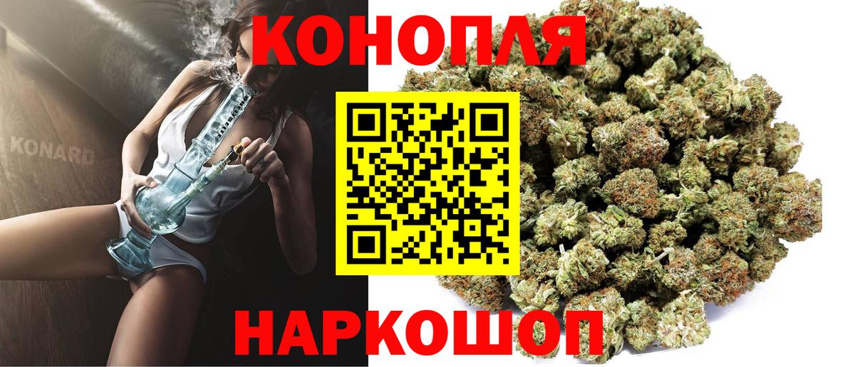 Конопля сатива Лесной